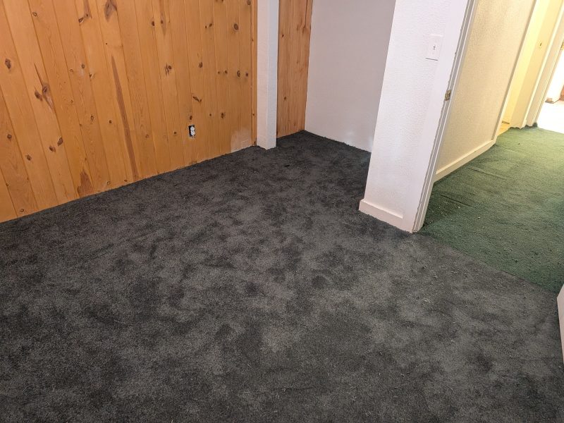 Carpet project